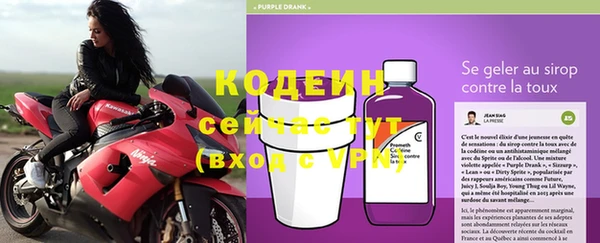 стафф Россошь