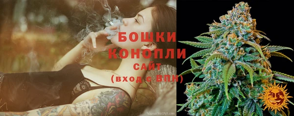 спайс Рославль